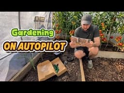 One easy Upgrade Every polytunnel Needs to make life easier/Allotment gardening UK 