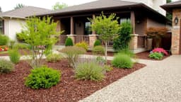 Xeriscaping 101: A Water-Wise Landscape and Garden Guide