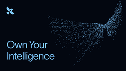 Own Your Intelligence: The Key to Lasting AI Advantage