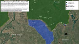 Ta’sis Coalition Overruns Geisan in Fresh Blue Nile Offensive