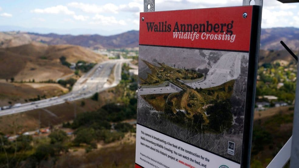 Details announced for wildlife crossing ribbon-cutting, new partnership