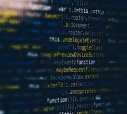 Design choices for future AI - finding a way forward