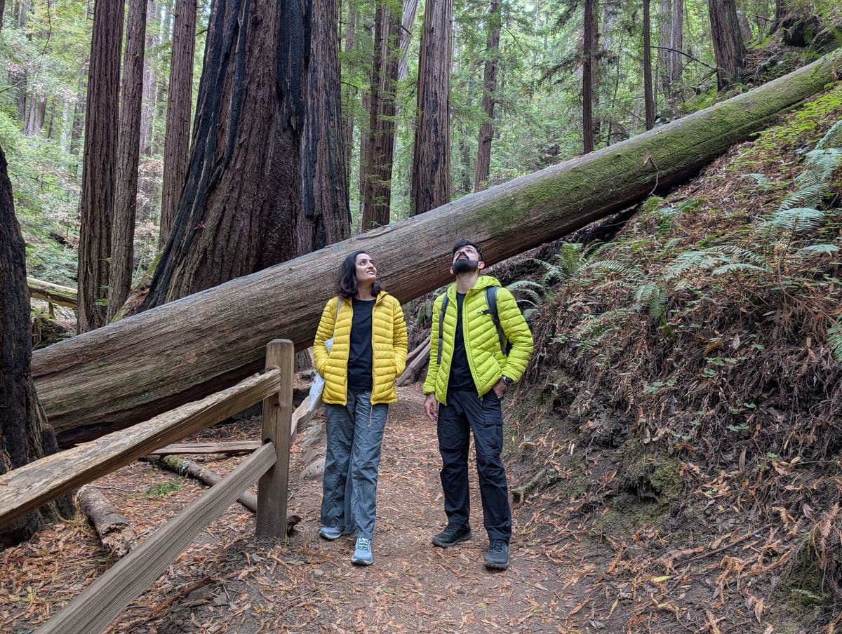 Muir Woods on a Budget: By Bus from San Francisco (2026)