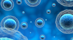 Plasma p-tau217 Clock: Decoding Preclinical Temporal ...