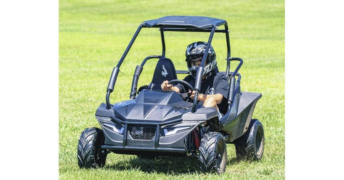 Cedarbrook Day Camp: A Community‑Based Camp Bringing Big‑Time Adventures at Family‑Friendly Prices | Sparta, NJ News TAPinto | TAPinto