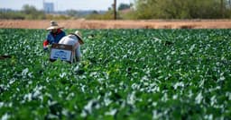 Feds indict five in Georgia agricultural visa fraud scheme