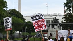 This Week in Democracy – Week 76: Trump Cashes In on Presidency as ICE Arrests 10,000 in 5 Days