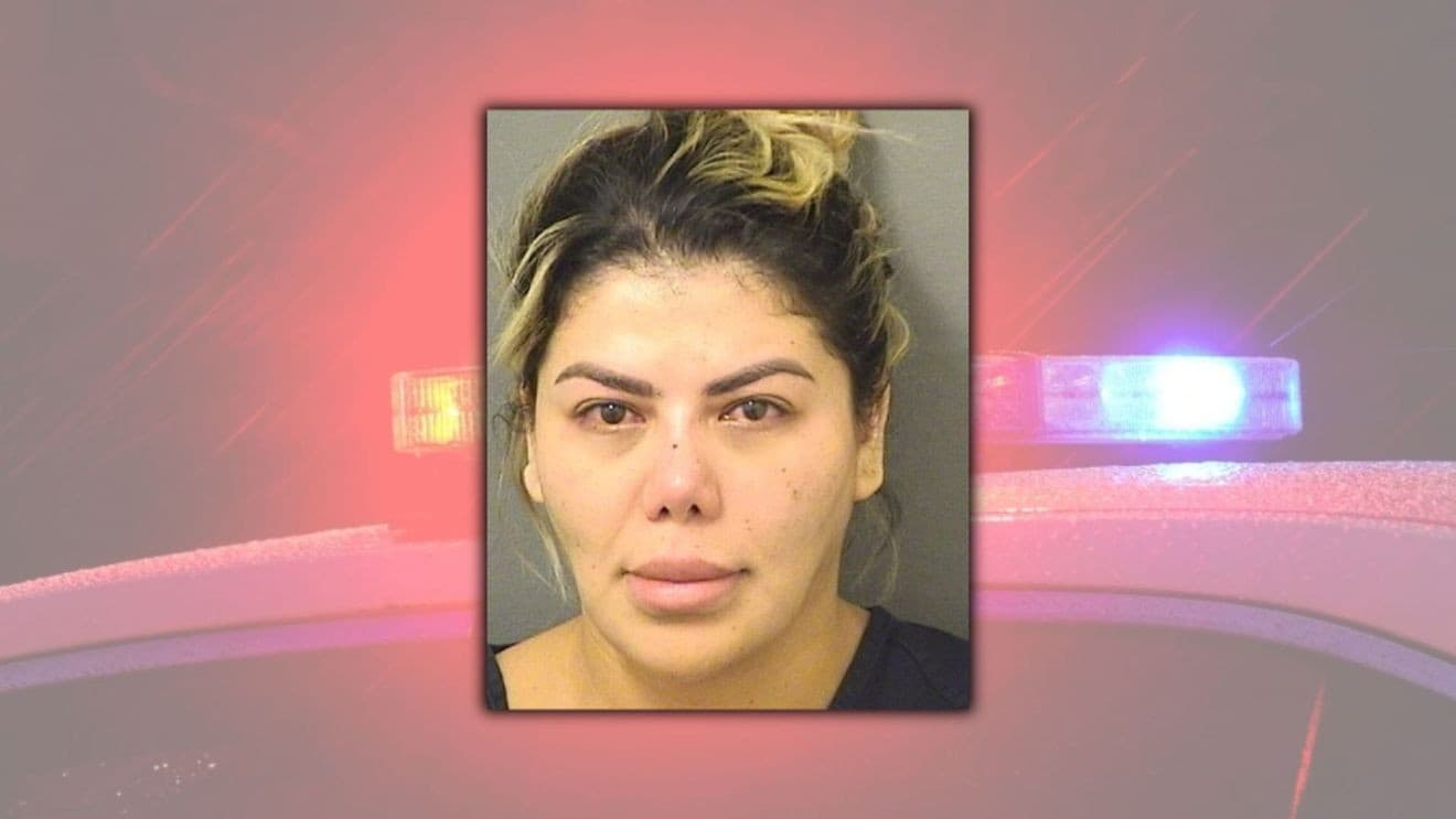 Boynton Beach woman arrested after probe of alleged illegal ...