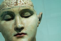 What actually protects your brain in midlife