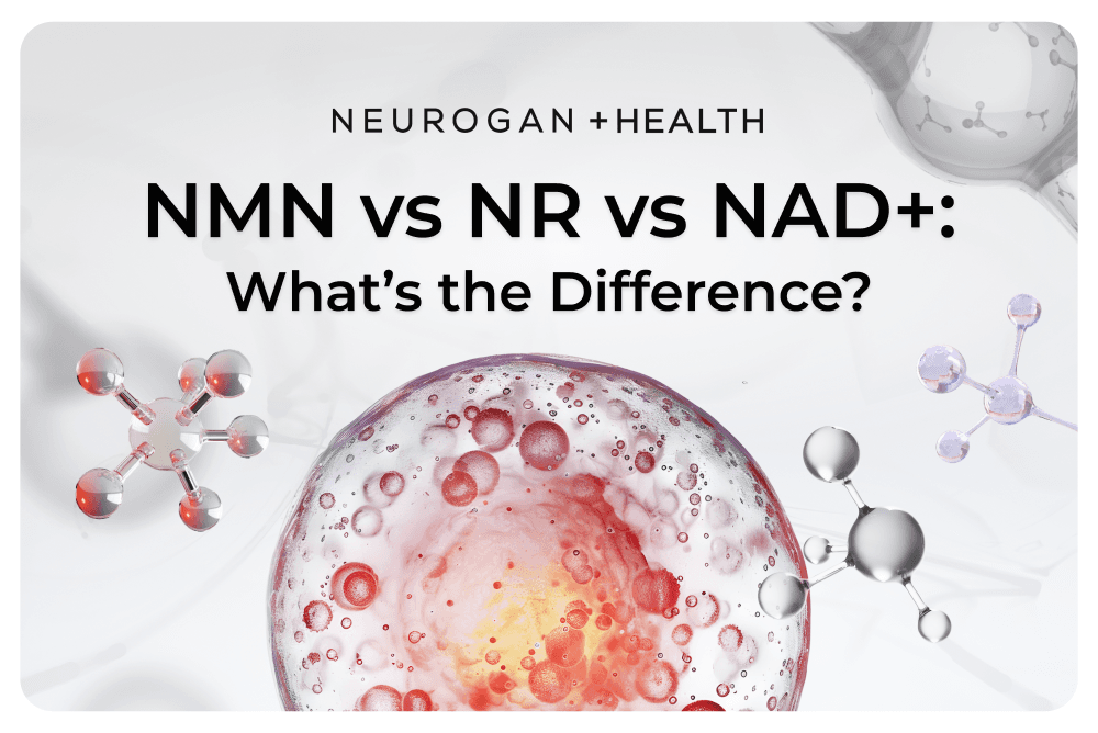 NMN vs NR vs NAD+: What's the Difference?