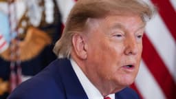This Week in Democracy – Week 81: Trump’s Corruption Is Off the Charts