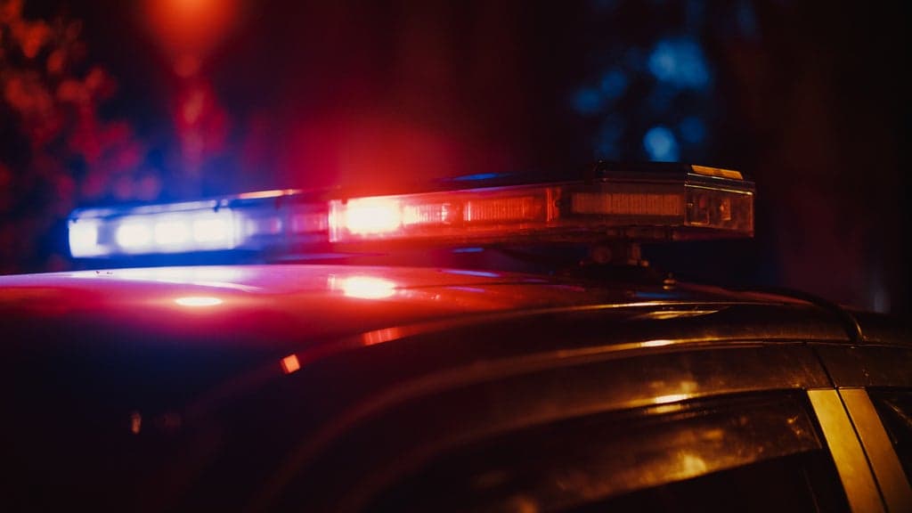 Hope Mills, Raeford Men Arrested in Vehicle Theft Ring Operating Across Carolinas