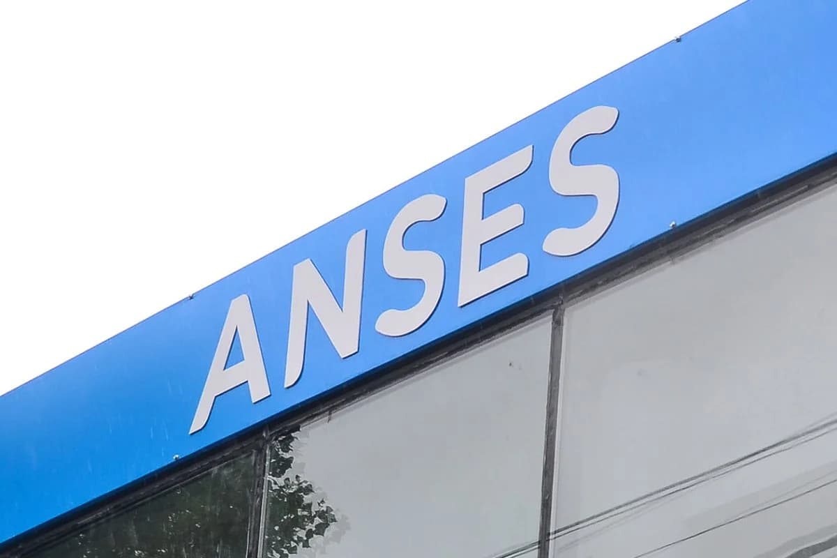 Calendario de pagos de ANSES: qué prestaciones se cobran esta semana   | La Pirámide