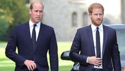 Prince William lands in tough spot as Harry peace deal ...