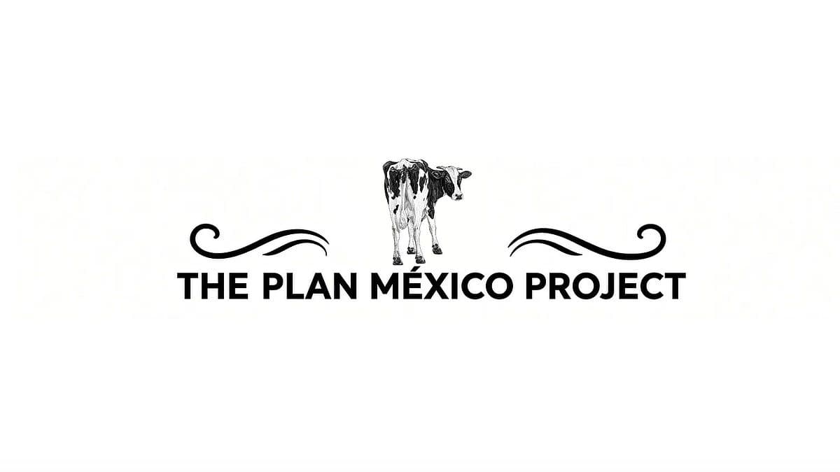 The 3 renewable energies Mexico must stop ignoring