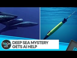 AI Gliders Help Scientists Decode Whale Communication In Deep Ocean | Tech It Out