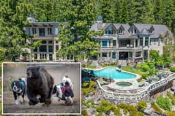 Millionaire Lake Tahoe homeowners deploy risky new strategy against escalating bear crisis