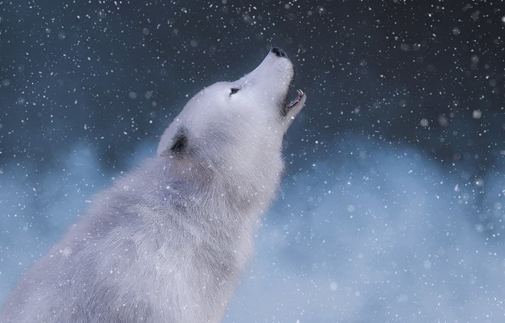  Nordic Alpha Partners bets on European sovereignty and exit bonuses | Real Deals