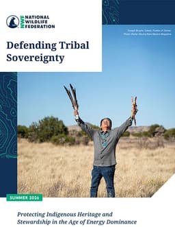 Defending Tribal Sovereignty: Protecting Indigenous ...