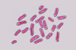 More than 300 inmates sick in Salmonella outbreak at Upstate NY jail