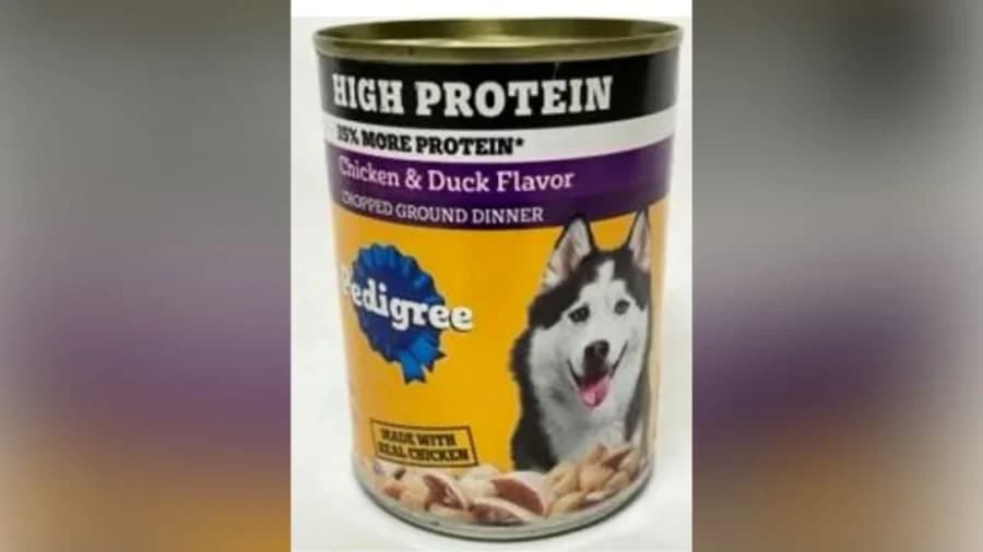 Pet Food Company Recalls Popular Dog Food Over ...