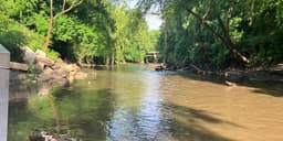 Thousands of fish found dead in 20-mile stretch of Chattahoochee River after heavy rainstorm