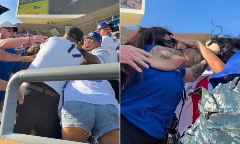Mayhem erupts at LA Dodgers game as fans throw punches and yank each other's hair in brawl