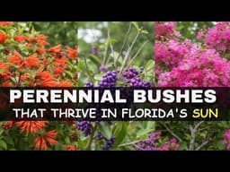 9 Fast-Growing Perennial Bushes That THRIVE in Florida's Summer Sun