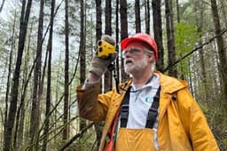 KUOW - Politics chat: Trump fires Attorney General Bondi, seeks to break campaign promises