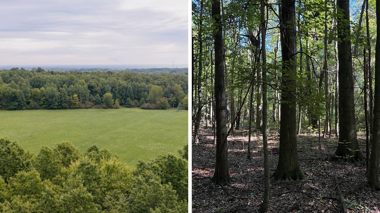 19+ Acre Hideaway, Open & Wooded Land, Timber