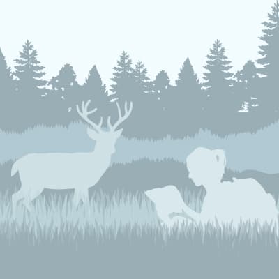 Community Engagement Steward in Plains, Georgia