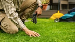 Crucial job every gardener needs to do on lawn before winter