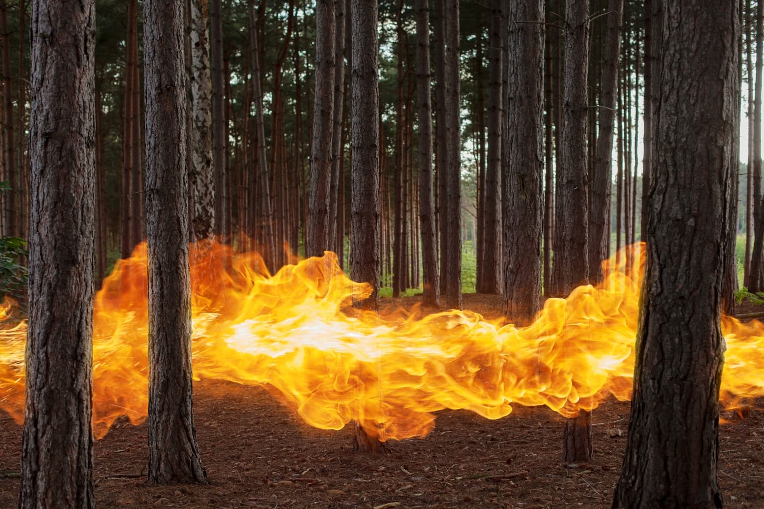 This Week’s CPI Report May Hand The Market A Harsh Dose Of Reality