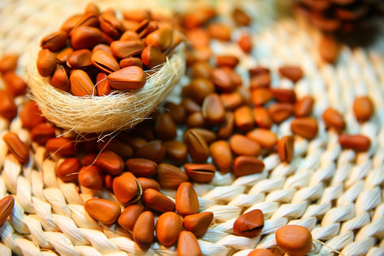 The 10 Top-Rated Nuts for Health, from Best to Worst
