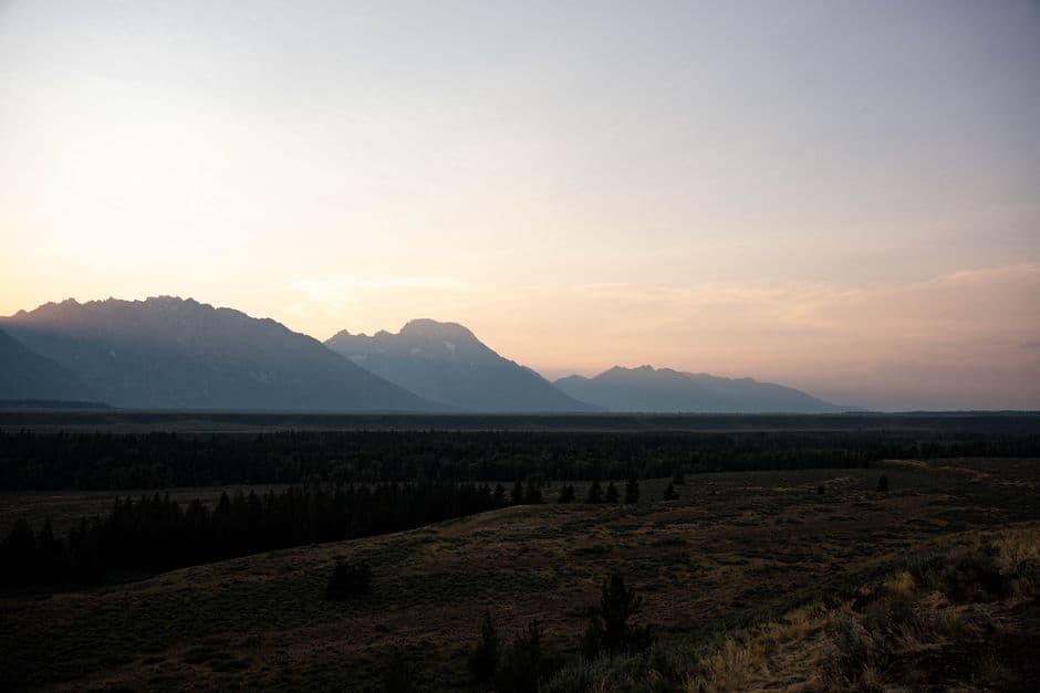 Animals in Grand Teton National Park: Wildlife Viewing Guide