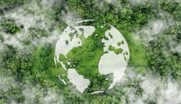 Oil crisis: Curb or catalyst to the green transition? - Top1000funds.com