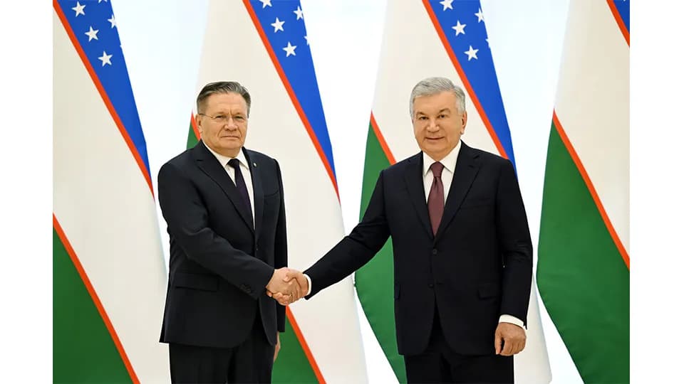 Rosatom chief briefs Uzbek president on progress of ...
