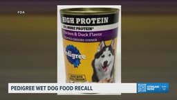 Pedigree wet dog food recalled over possible metal and plastic contamination