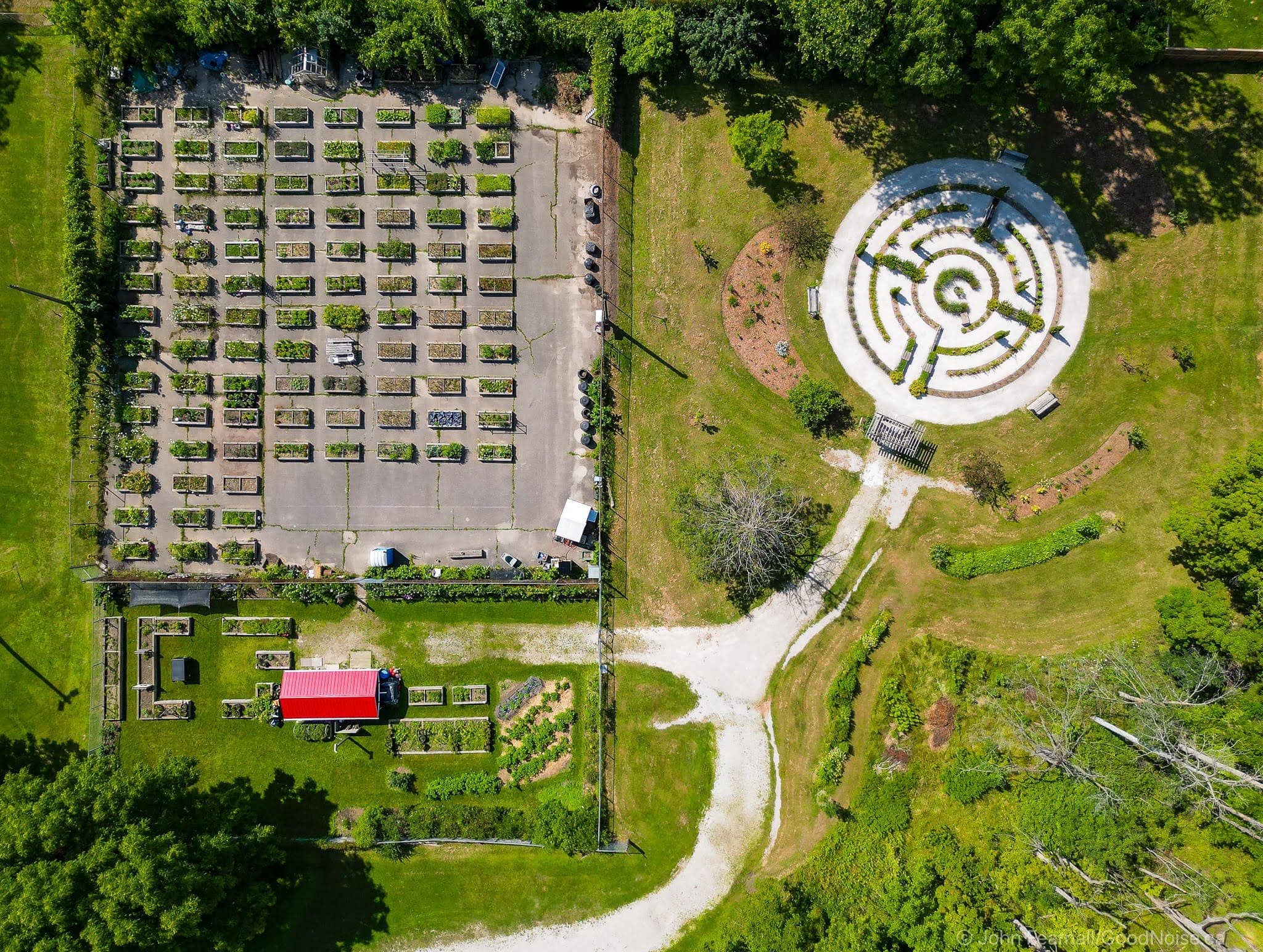 The Fresh Roots Food Forest & Garden Program: A Hidden Gem in Downtown Owen Sound 