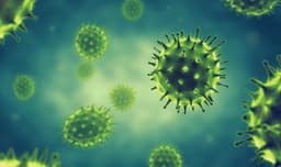 Influenza Research