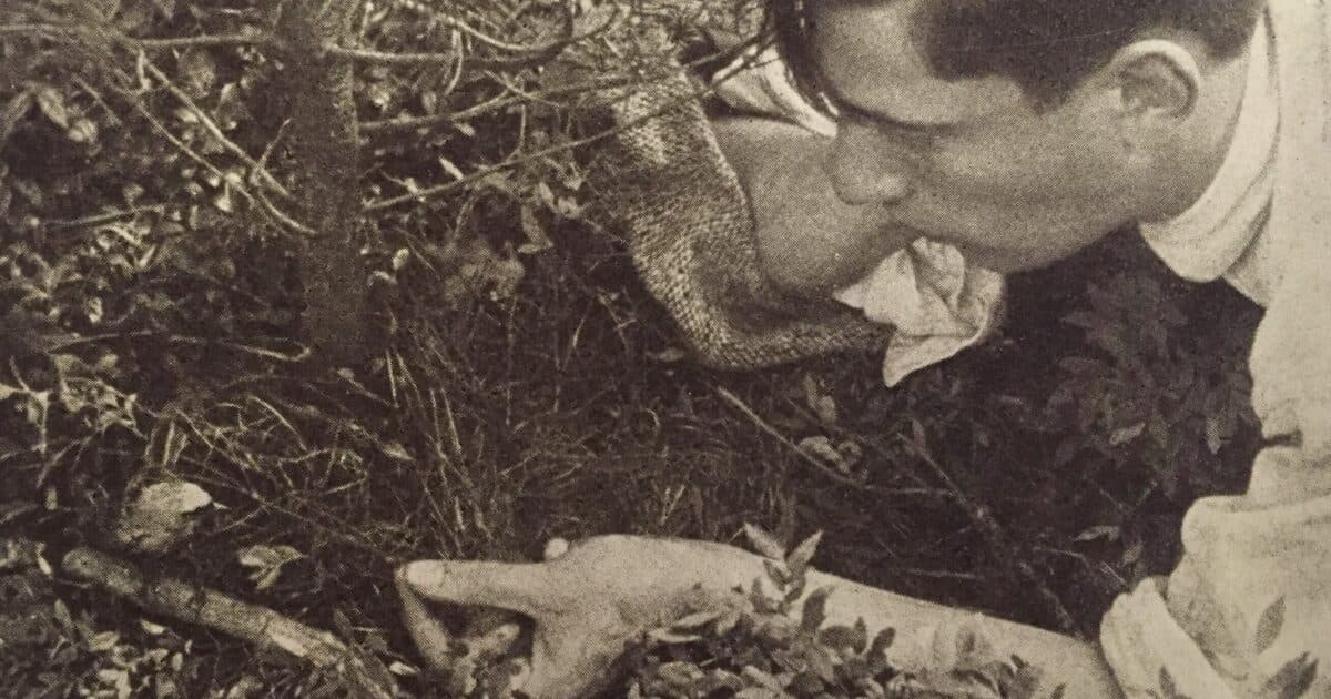 Nathan Leopold: The Birder Who Committed Murder