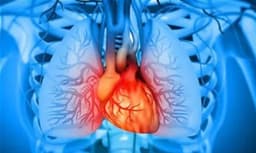 Cardiologists Just Changed the Universal Definition of Heart Failure