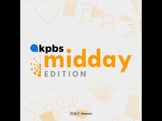 Gaza: Six-month ceasefire sham/violations rising/818+ post-truce kills/elections/strikes/UXO/amputees/forced displacement/Mladenov Cairo/humanitarian