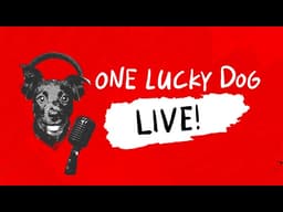 What Are The BEST HOURS to Place Trades? | 5.20 | One Lucky Dog LIVE!