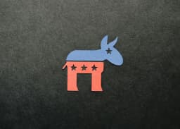Don't Look to the Democratic National Committee ...