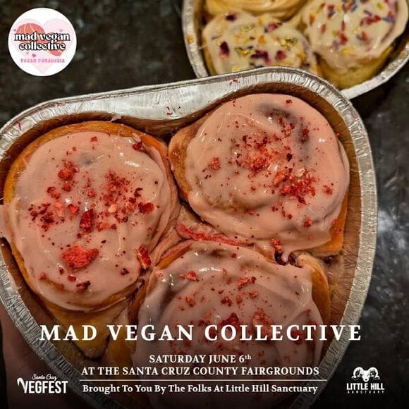 Mad Vegan Collective Returns to Santa Cruz VegFest