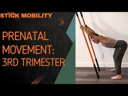 3rd Trimester Prenatal Movement - labor, birth, and parenthood prep #stickmobility 