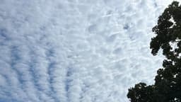 My friend says the crazy patterns in the sky are a "mackerel sky" presaging rain--I think it is due to geoengineering