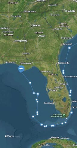 Young great white shark spotted off the coast of the Florida Panhandle