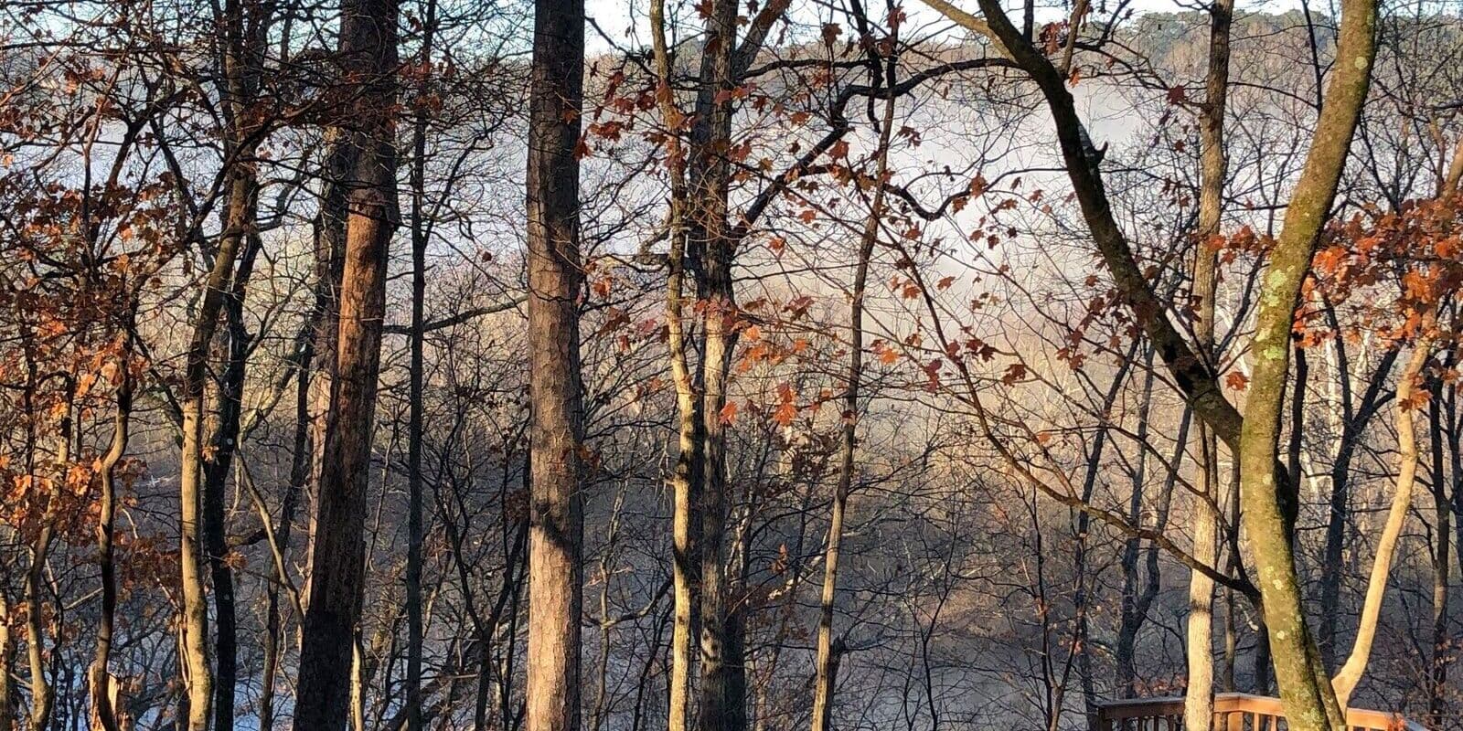 Day of Reflection: Care of Body, Care of Soul